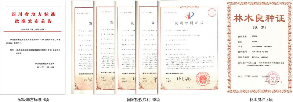科研成果