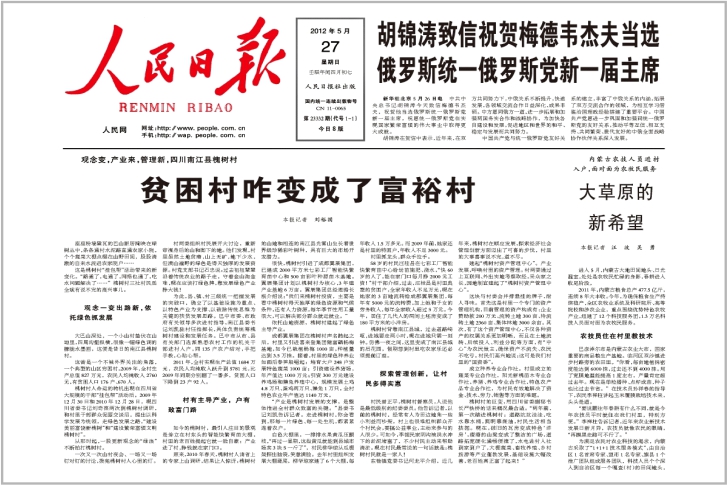 七彩槐树