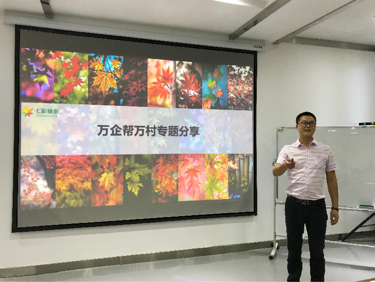 七彩党建万企帮万村