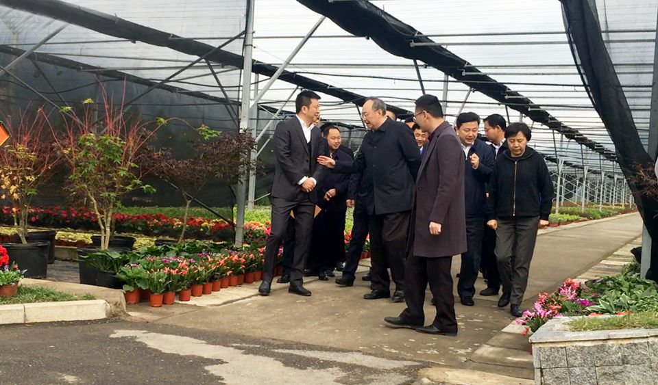 聚焦七彩 | 四川省委副书记、省长尹力调研七彩林业