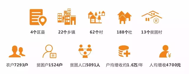 聚焦七彩 | 四川省委副书记、省长尹力调研七彩林业