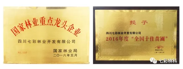 聚焦七彩 | 国家林业局副局长刘东生调研七彩林业