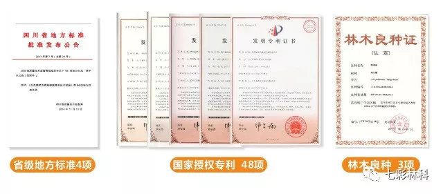 聚焦七彩 | 国家林业局副局长刘东生调研七彩林业