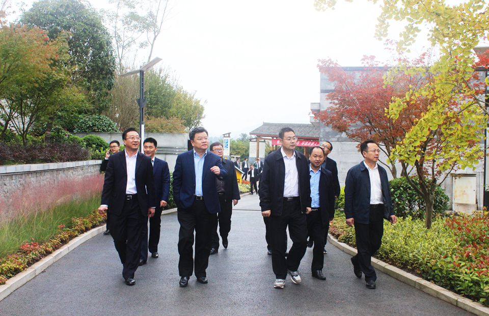 聚焦七彩│109亿元！七彩林业签署都江堰市全域彩色花木产业发展暨农旅融合项目