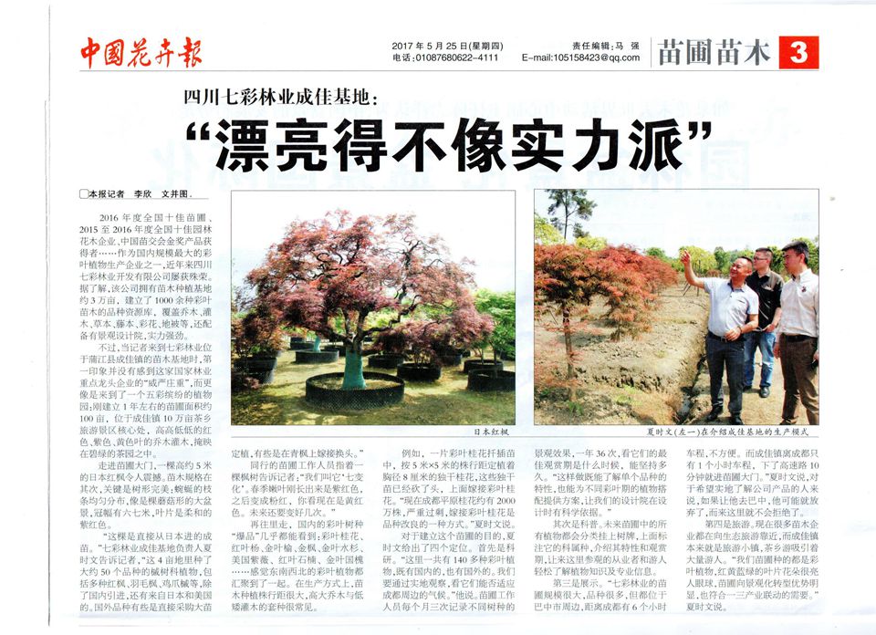 七彩林业成佳基地“漂亮得不像实力派”