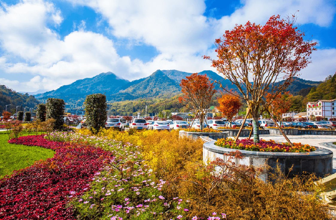 光雾山风景区