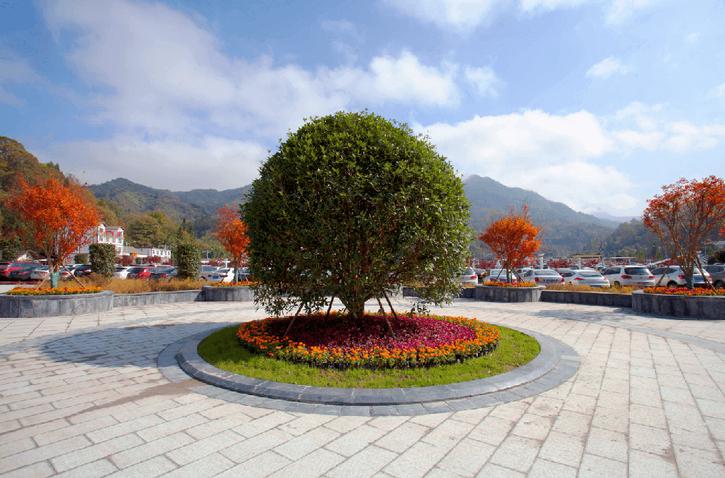 光雾山风景区