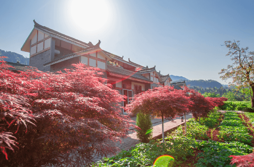 吃上旅游饭 走上致富路