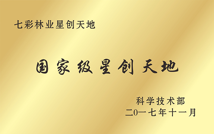 国家级星创天地“七彩林业星创天地”，托起秦巴山人的致富汗水和创业梦想