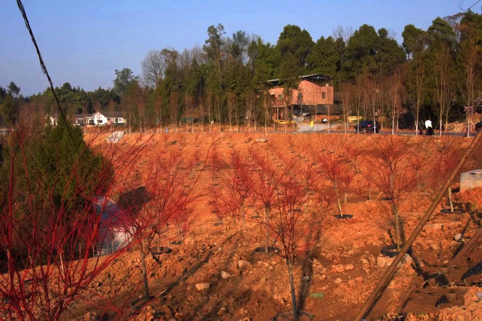 九寨村不只是脱贫丨七彩助力巴中打造全新4A级景区