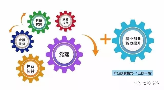 重磅来袭！七彩林业荣获“四川省建设长江上游生态屏障先进集体”称号！
