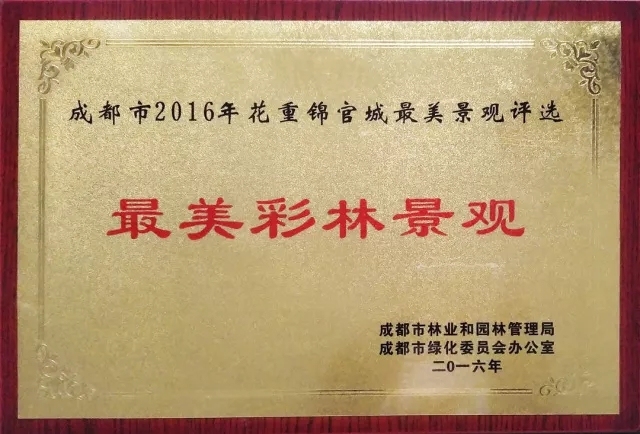 七彩出品|蒲江县成佳镇七彩茶林，春日里的调色板