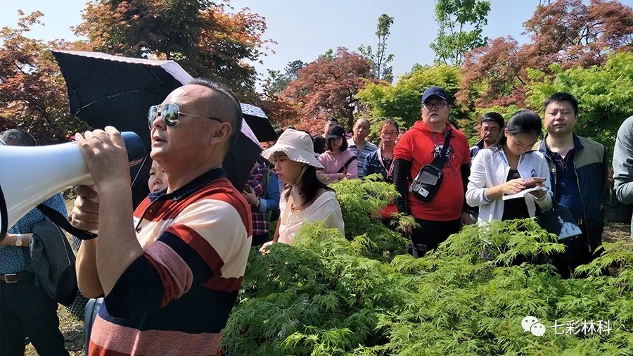 聚焦七彩|成都市风景园林学会调研蒲江七彩茶林
