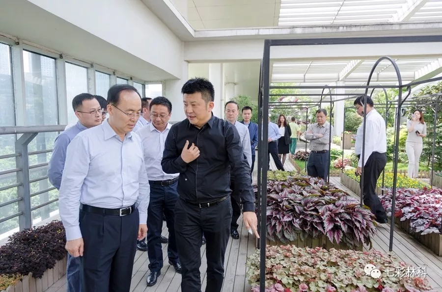 聚焦七彩|深圳证券交易所理事长吴利军调研七彩林业