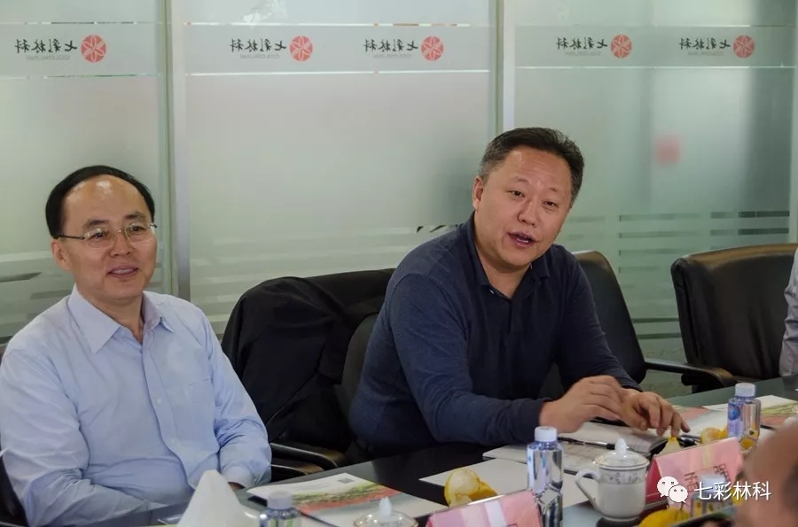 聚焦七彩|深圳证券交易所理事长吴利军调研七彩林业
