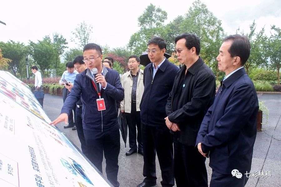 聚焦七彩|全国工商联副主席谢经荣调研七彩林业