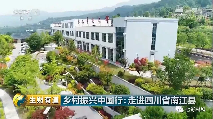 聚焦七彩|回眸看发展，这半年七彩的脚步从未停下！