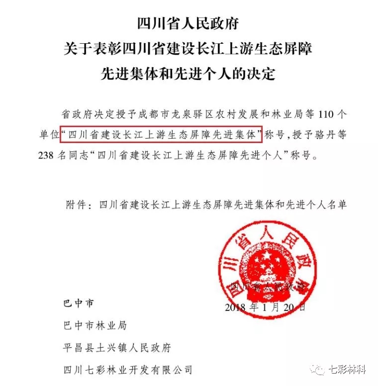 聚焦七彩|回眸看发展，这半年七彩的脚步从未停下！