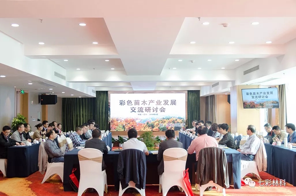 聚焦七彩|回眸看发展，这半年七彩的脚步从未停下！