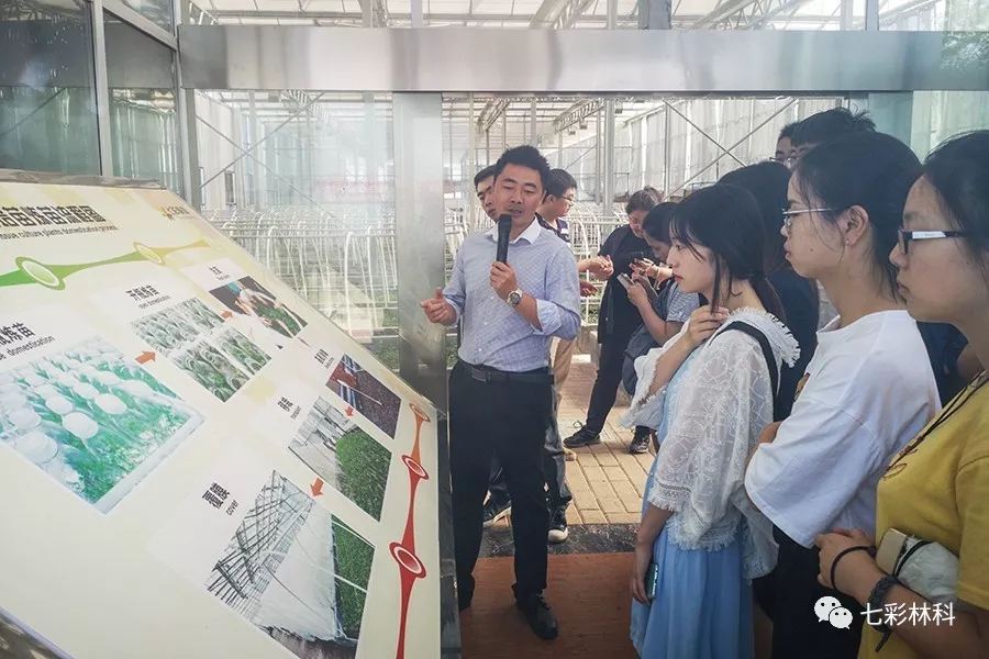 聚焦七彩|回眸看发展，这半年七彩的脚步从未停下！