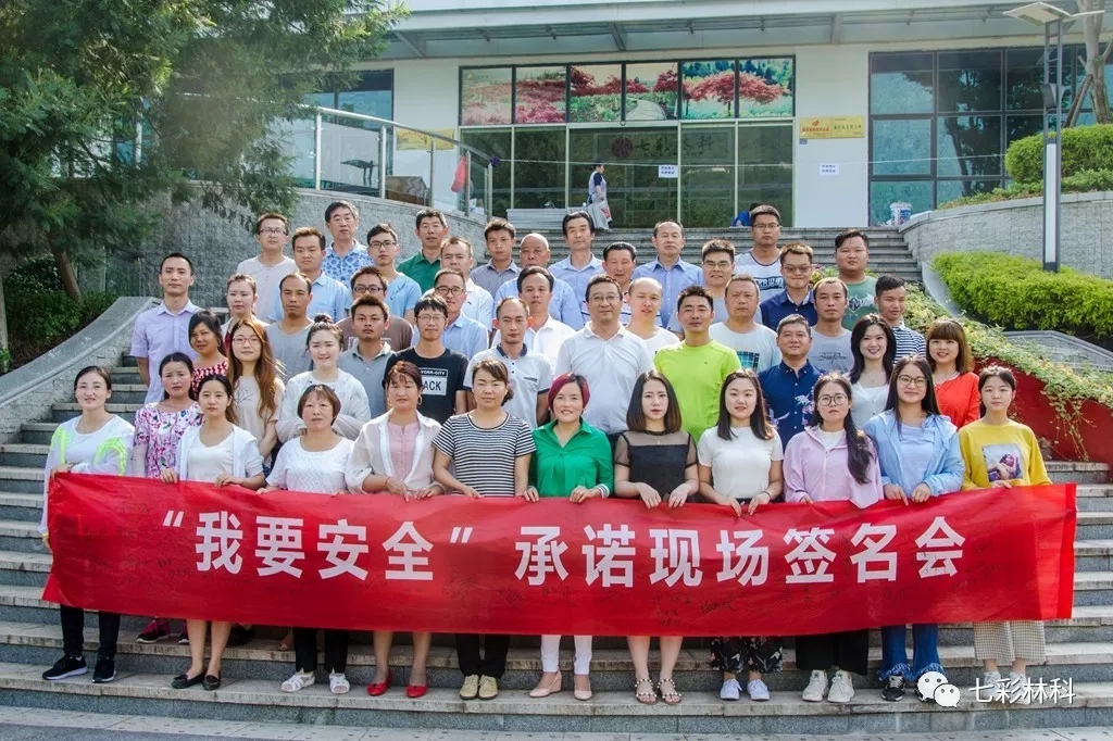 聚焦七彩|回眸看发展，这半年七彩的脚步从未停下！