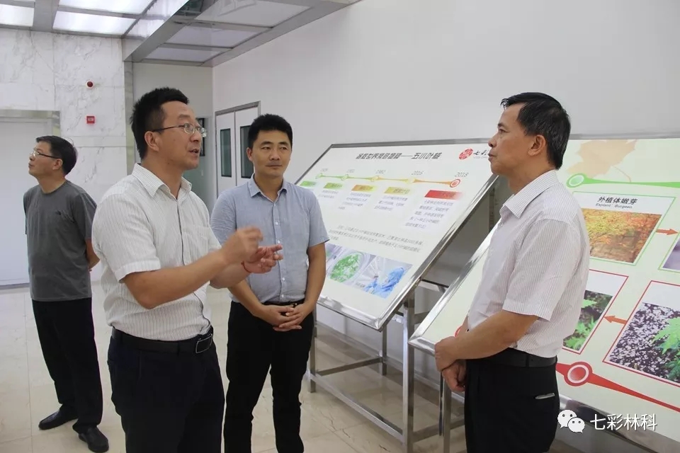 聚焦七彩|中国绿化基金会主席陈述贤为七彩林业授旗并到公司调研