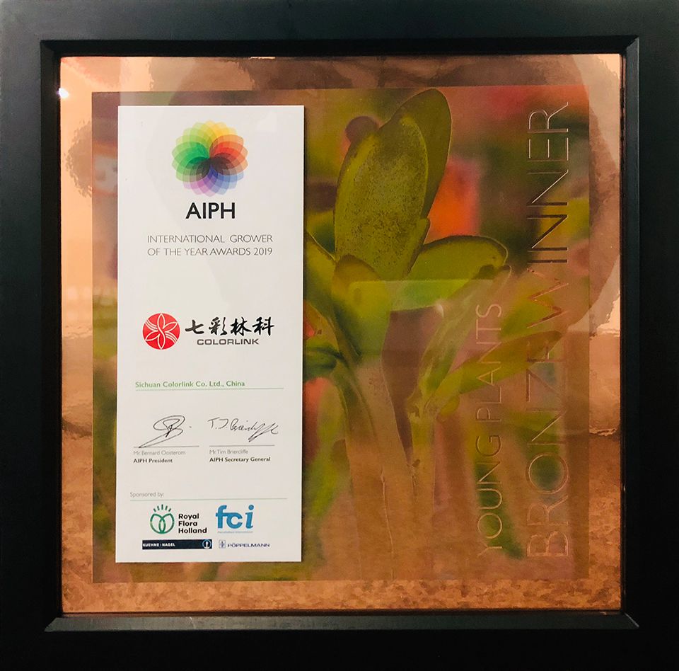 国际种植者