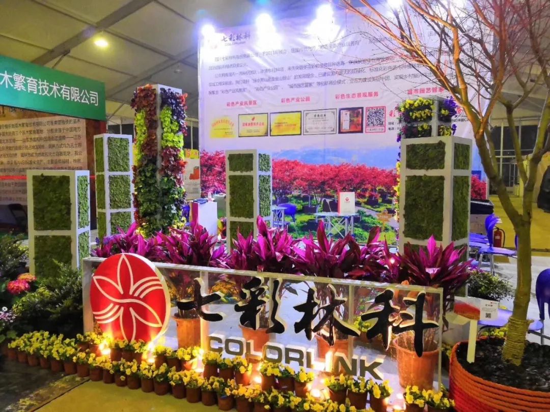 聚焦七彩|惊艳亮相萧山花木节，全新品种荣获“金奖产品”