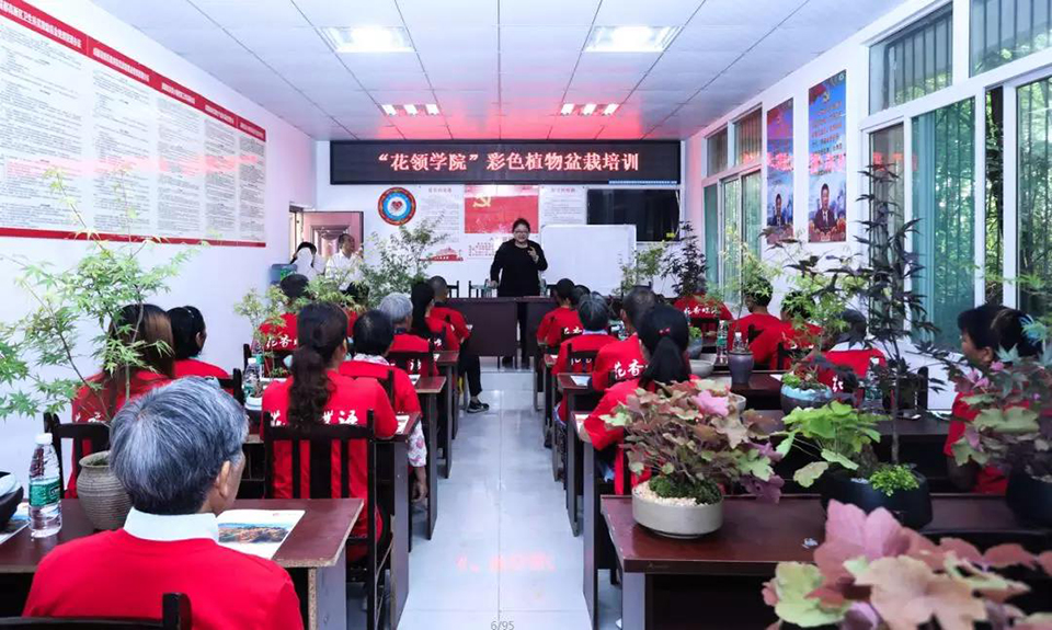 聚焦七彩│“花领学院”起航成都高新区 盆栽产业助推乡村振兴
