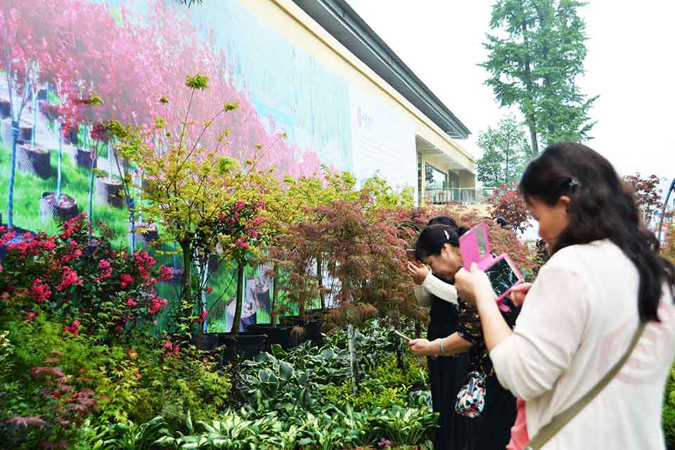 七彩林科惊艳亮相第三届四川生产旅游博览会（西部•成都花木博览会）