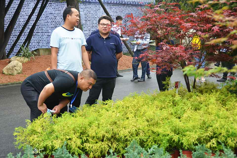 七彩林科惊艳亮相第三届四川生产旅游博览会（西部•成都花木博览会）
