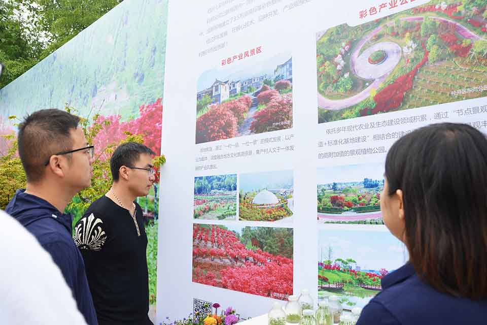 七彩林科惊艳亮相第三届四川生产旅游博览会(西部•成都花木博览会) 七彩林科惊艳亮相第三届四川生产旅游博览会(西部•成都花木博览会)