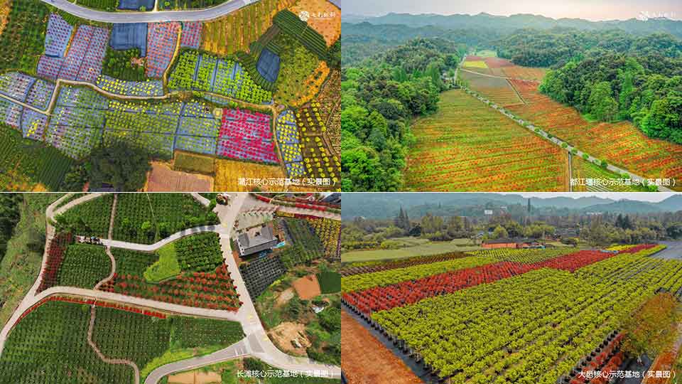 聚焦七彩|七彩林科荣获“2018年度全国十佳苗圃”