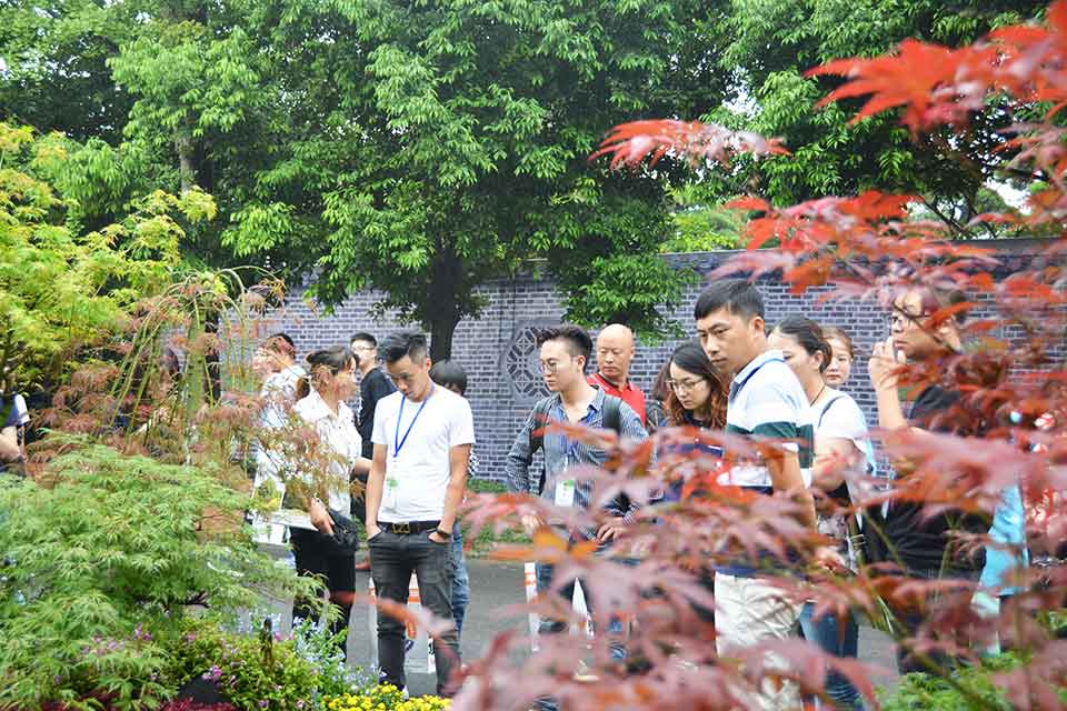 七彩林科惊艳亮相第三届四川生产旅游博览会（西部•成都花木博览会）