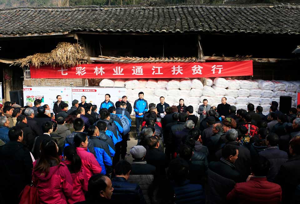聚焦七彩|七彩林科总经理王明理获“四川省脱贫攻坚奖”