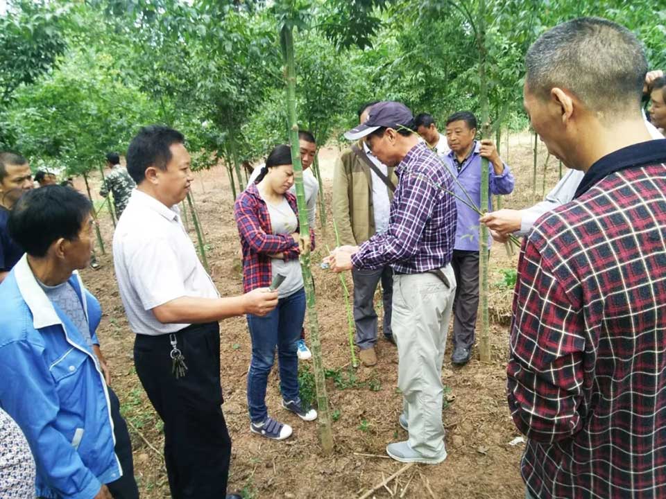 聚焦七彩|七彩林科彩色植物科普基地荣膺“四川省省级科普基地”