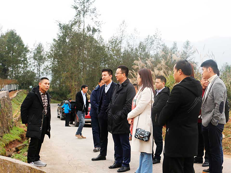 聚焦七彩|华侨城西部集团副总经理乔晓燕一行参观考察七彩林科
