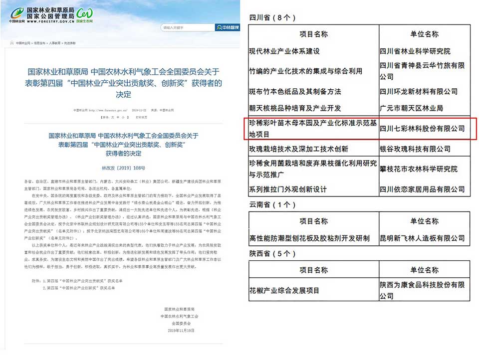 聚焦七彩|七彩林科荣膺“中国林业产业创新奖”