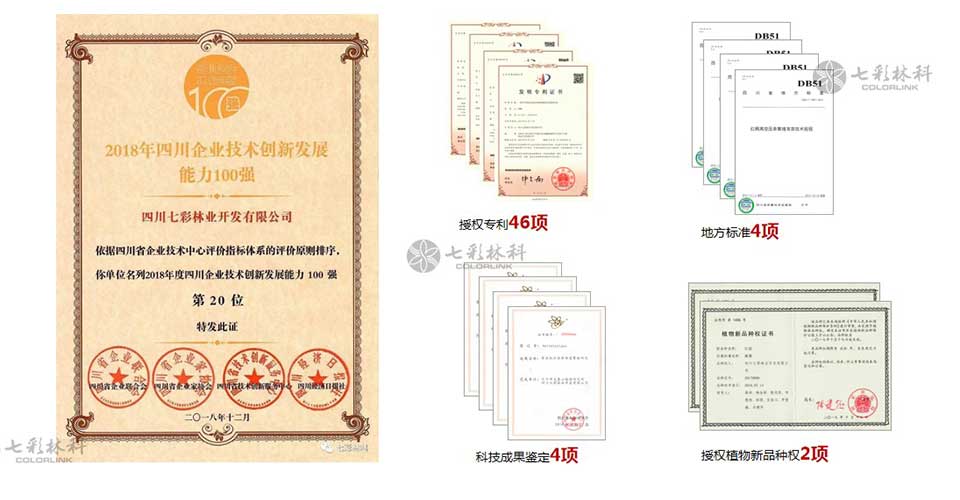 聚焦七彩|七彩林科获评“2019年度国家知识产权优势企业”