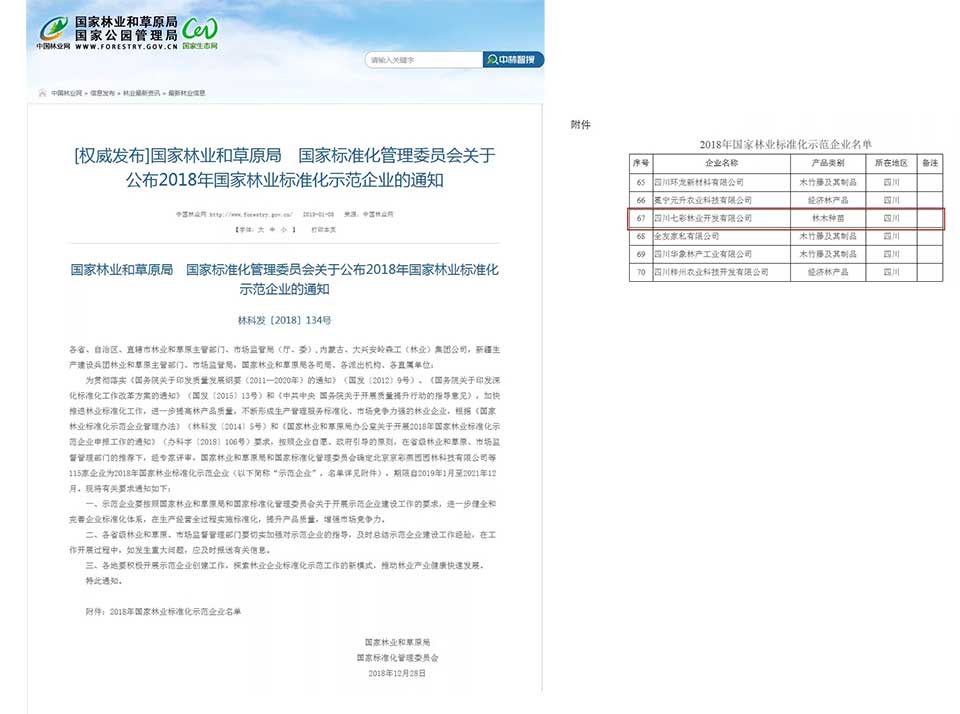 大事记|2019，我们和七彩一起走过的那些难忘瞬间.......
