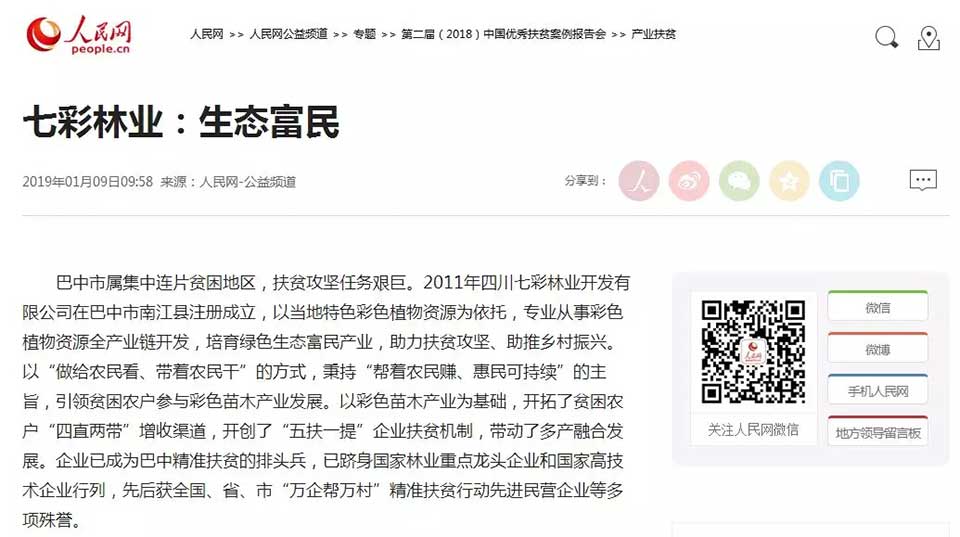 大事记|2019，我们和七彩一起走过的那些难忘瞬间.......
