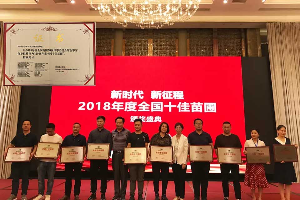 大事记|2019，我们和七彩一起走过的那些难忘瞬间.......