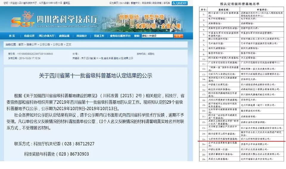 大事记|2019，我们和七彩一起走过的那些难忘瞬间.......