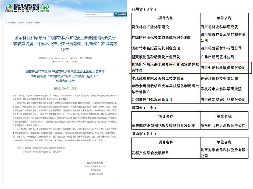 大事记|2019，我们和七彩一起走过的那些难忘瞬间.......