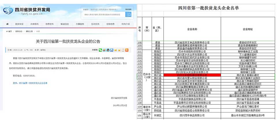 大事记|2019，我们和七彩一起走过的那些难忘瞬间.......