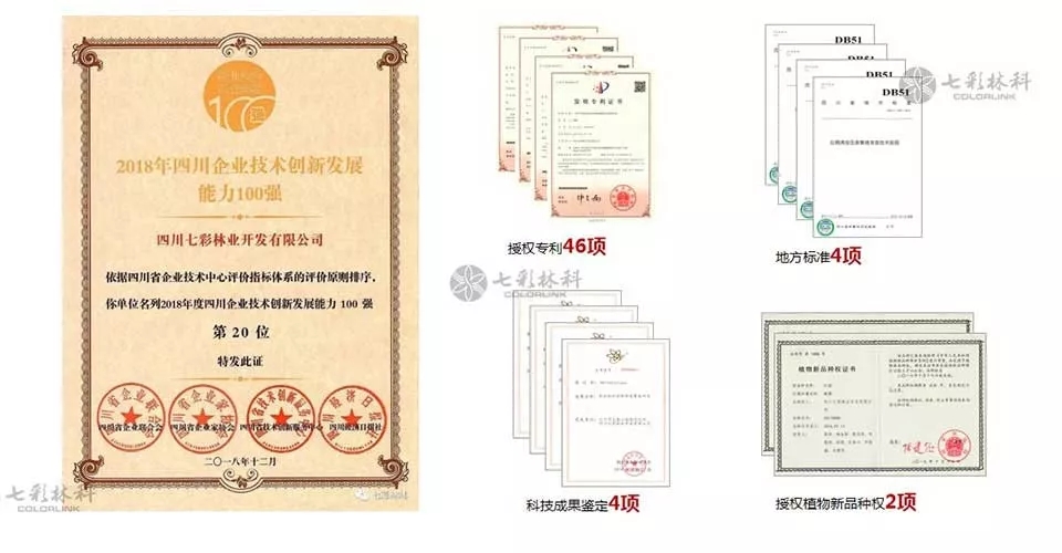 大事记|2019，我们和七彩一起走过的那些难忘瞬间.......