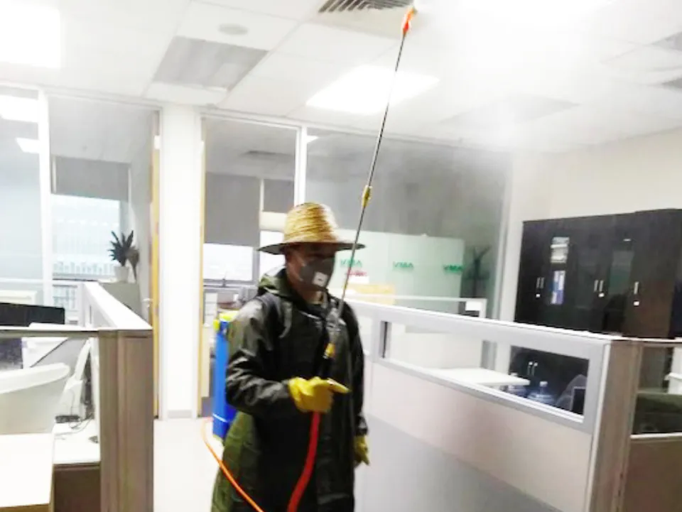 抗击疫情！七彩林科向湖北随州一线医务工作者捐赠蔬菜15吨
