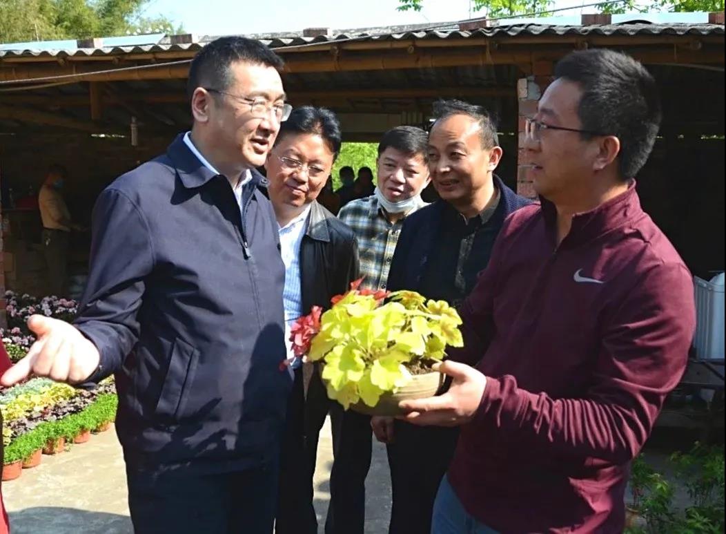 聚焦七彩 |成都市高新区管委会主任余辉调研七彩林科产业扶贫项目