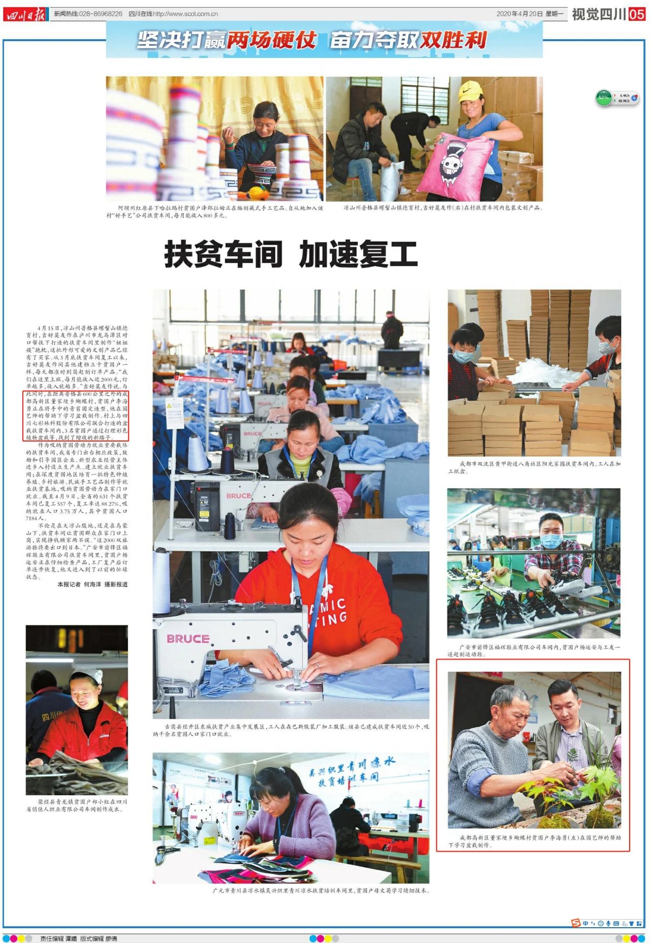 聚焦七彩 | 四川日报强力宣传七彩林科产业扶贫项目