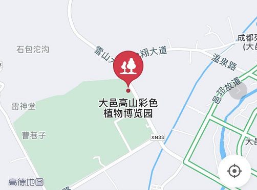 七彩苗木|无惧环境压力，藤本植物界“颜值硬汉”正当红